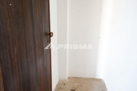 Stadthaus in Castelo Branco, Castelo Branco, Castelo Branco - € 267.500 | Ref: PP4634 - Foto 50