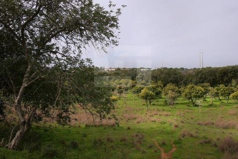 Gård i Albufeira, Faro, Albufeira - € 2 500 000 | Ref: AD 131 - foto 24