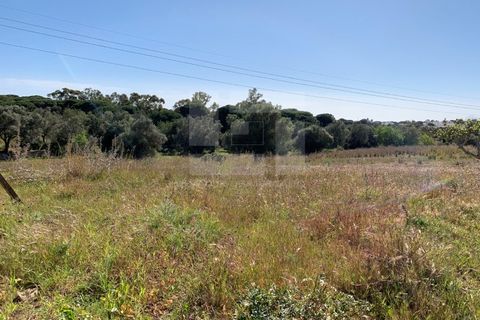 Gård i Albufeira, Faro, Albufeira - € 2 500 000 | Ref: AD 131 - foto 30