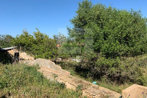 Gård i Albufeira, Faro, Albufeira - € 2 500 000 | Ref: AD 131 - foto 35
