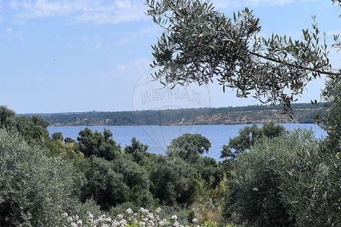 Villa a Ponte de Sor, Portalegre, Ponte de Sor - € 475.000 | Ref: 121331124-428 - foto 11