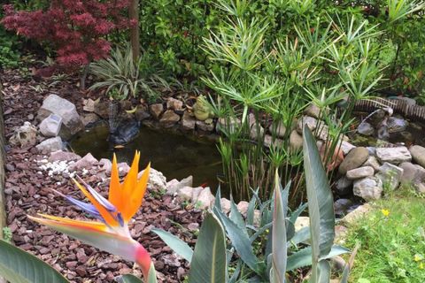 Villa a Ameglia, La Spezia, Ameglia - € 599.000 | Ref: 107911 - foto 40