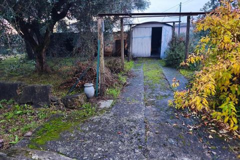 Byhus i Luni, La Spezia, Luni - € 250.000 | Ref: 107915 - foto 15
