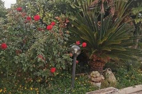 Villa a Cianciana, Agrigento, Cianciana - € 350.000 | Ref: RP-729062-729062 - foto 7