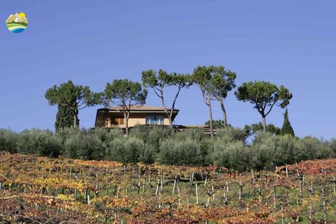 Villa i Notaresco, Teramo, Notaresco - € 698.000 | Ref: EL1123-739033 - foto 5