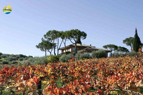 Villa i Notaresco, Teramo, Notaresco - € 698.000 | Ref: EL1123-739033 - foto 9