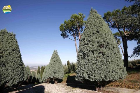 Villa i Notaresco, Teramo, Notaresco - € 698.000 | Ref: EL1123-739033 - foto 14