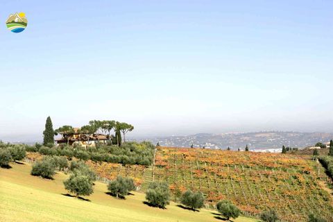 Villa i Notaresco, Teramo, Notaresco - € 698.000 | Ref: EL1123-739033 - foto 16