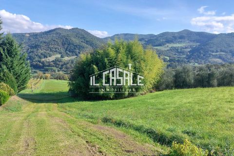 Erhvervsejendom i Dicomano, Florence, Dicomano - € 65.000 | Ref: 2218 - foto 2