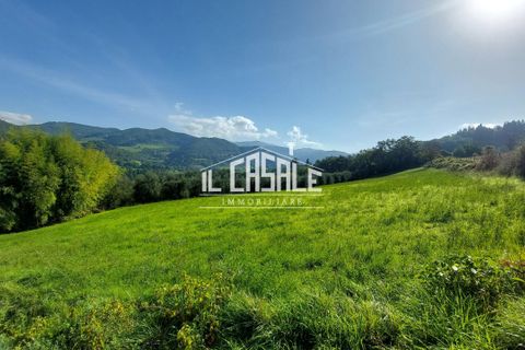 Erhvervsejendom i Dicomano, Florence, Dicomano - € 65.000 | Ref: 2218 - foto 4