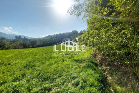 Erhvervsejendom i Dicomano, Florence, Dicomano - € 65.000 | Ref: 2218 - foto 10