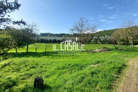 Erhvervsejendom i Dicomano, Florence, Dicomano - € 65.000 | Ref: 2218 - foto 11