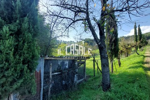 Erhvervsejendom i Dicomano, Florence, Dicomano - € 65.000 | Ref: 2218 - foto 13