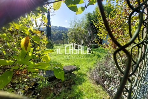 Erhvervsejendom i Dicomano, Florence, Dicomano - € 65.000 | Ref: 2218 - foto 14