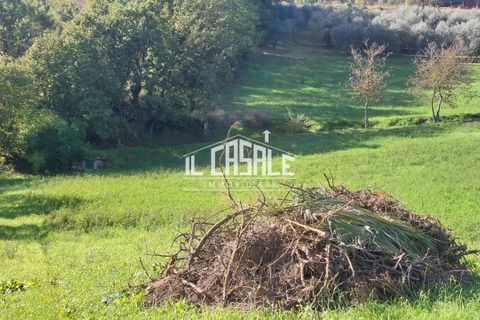 Erhvervsejendom i Dicomano, Florence, Dicomano - € 65.000 | Ref: 2218 - foto 20