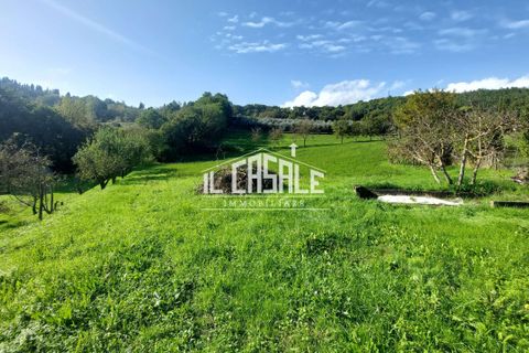 Erhvervsejendom i Dicomano, Florence, Dicomano - € 65.000 | Ref: 2218 - foto 22