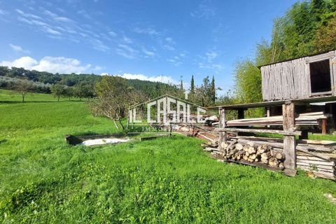 Erhvervsejendom i Dicomano, Florence, Dicomano - € 65.000 | Ref: 2218 - foto 23