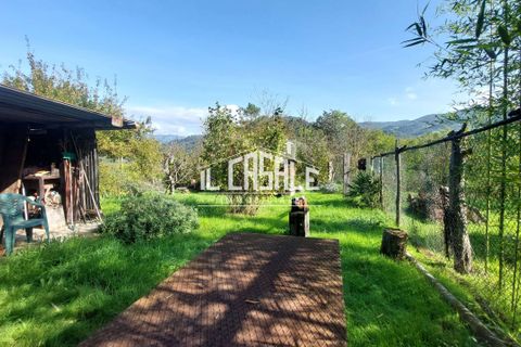 Erhvervsejendom i Dicomano, Florence, Dicomano - € 65.000 | Ref: 2218 - foto 29