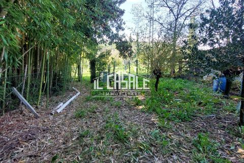 Erhvervsejendom i Dicomano, Florence, Dicomano - € 65.000 | Ref: 2218 - foto 30