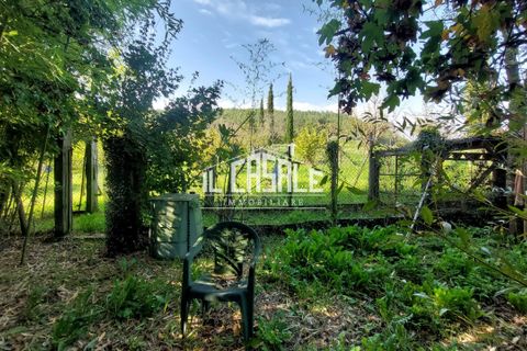 Erhvervsejendom i Dicomano, Florence, Dicomano - € 65.000 | Ref: 2218 - foto 31