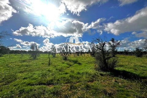 Erhvervsejendom i Vernole, Lecce, Vernole - € 25.000 | Ref: cod.169 - foto 4