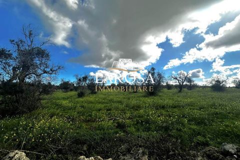 Erhvervsejendom i Vernole, Lecce, Vernole - € 25.000 | Ref: cod.169 - foto 9