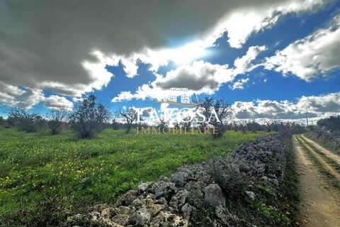 Erhvervsejendom i Vernole, Lecce, Vernole - € 25.000 | Ref: cod.169 - foto 10