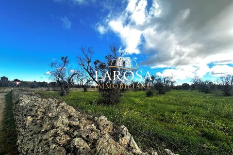 Erhvervsejendom i Vernole, Lecce, Vernole - € 25.000 | Ref: cod.169 - foto 11