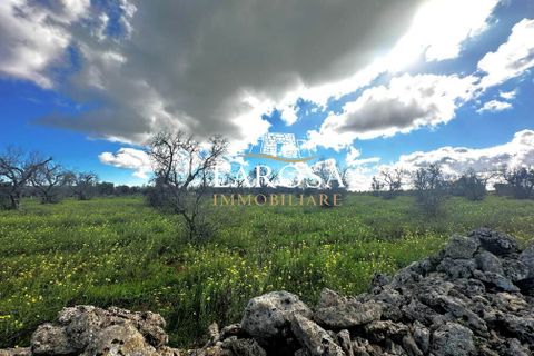 Erhvervsejendom i Vernole, Lecce, Vernole - € 25.000 | Ref: cod.169 - foto 13