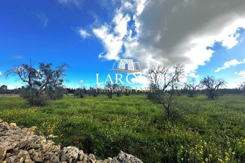 Erhvervsejendom i Vernole, Lecce, Vernole - € 25.000 | Ref: cod.169 - foto 15
