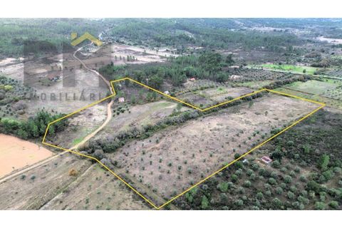 Farm i Castelo Branco, Castelo Branco, Castelo Branco - € 82.500 | Ref: 4971 - foto 1