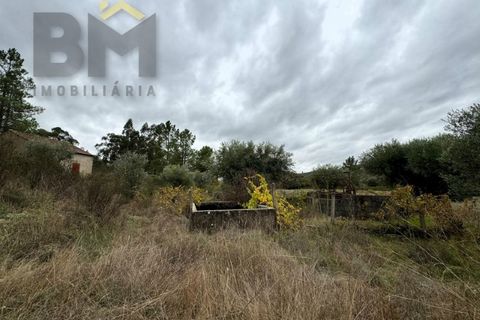 Farm i Castelo Branco, Castelo Branco, Castelo Branco - € 82.500 | Ref: 4971 - foto 3