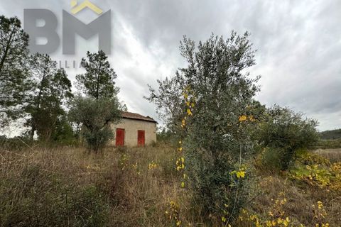 Farm i Castelo Branco, Castelo Branco, Castelo Branco - € 82.500 | Ref: 4971 - foto 4