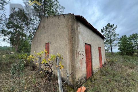 Farm i Castelo Branco, Castelo Branco, Castelo Branco - € 82.500 | Ref: 4971 - foto 5