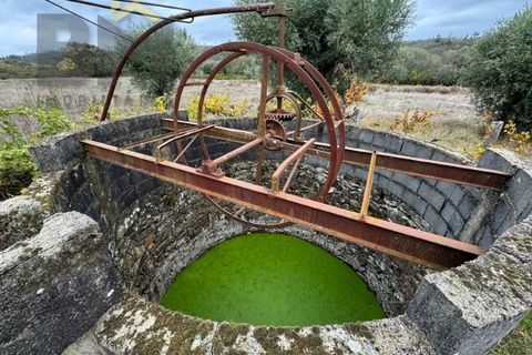 Farm i Castelo Branco, Castelo Branco, Castelo Branco - € 82.500 | Ref: 4971 - foto 6