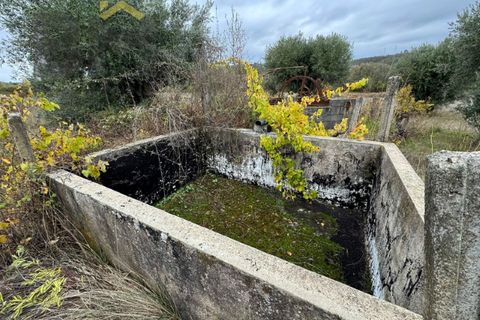 Farm i Castelo Branco, Castelo Branco, Castelo Branco - € 82.500 | Ref: 4971 - foto 7