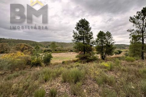 Farm i Castelo Branco, Castelo Branco, Castelo Branco - € 82.500 | Ref: 4971 - foto 13