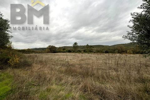 Farm i Castelo Branco, Castelo Branco, Castelo Branco - € 82.500 | Ref: 4971 - foto 14