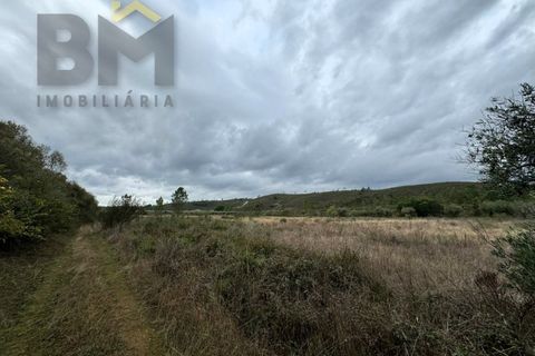 Farm i Castelo Branco, Castelo Branco, Castelo Branco - € 82.500 | Ref: 4971 - foto 18