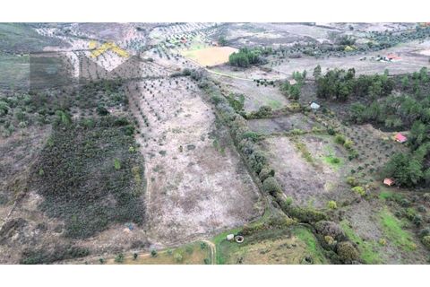Farm i Castelo Branco, Castelo Branco, Castelo Branco - € 82.500 | Ref: 4971 - foto 21