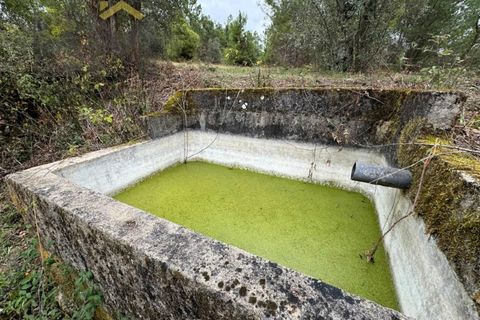 Farm i Castelo Branco, Castelo Branco, Castelo Branco - € 46.500 | Ref: 4972 - foto 7