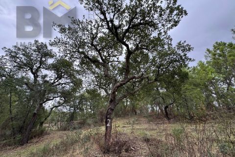 Farm i Castelo Branco, Castelo Branco, Castelo Branco - € 46.500 | Ref: 4972 - foto 9