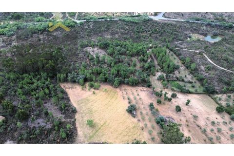 Farm i Castelo Branco, Castelo Branco, Castelo Branco - € 46.500 | Ref: 4972 - foto 16