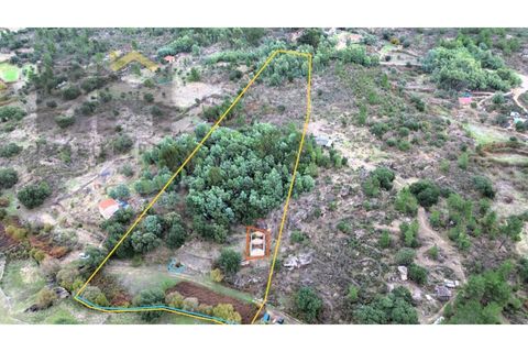 Farm i Castelo Branco, Castelo Branco, Castelo Branco - € 42.000 | Ref: 4968 - foto 1
