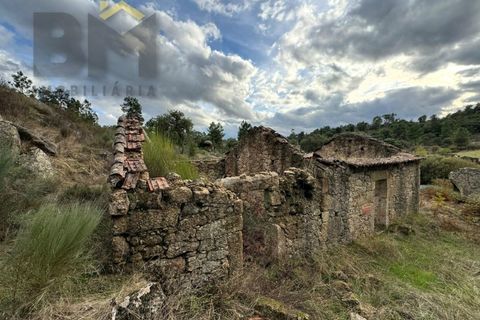 Farm i Castelo Branco, Castelo Branco, Castelo Branco - € 42.000 | Ref: 4968 - foto 4