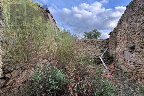 Farm i Castelo Branco, Castelo Branco, Castelo Branco - € 42.000 | Ref: 4968 - foto 5