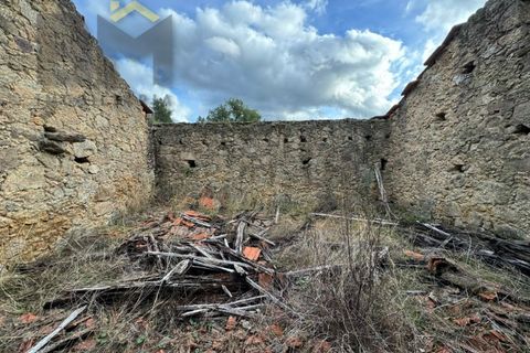 Farm i Castelo Branco, Castelo Branco, Castelo Branco - € 42.000 | Ref: 4968 - foto 6