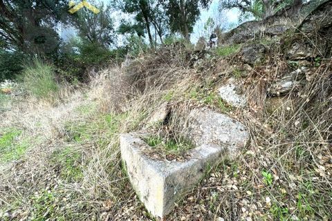Farm i Castelo Branco, Castelo Branco, Castelo Branco - € 42.000 | Ref: 4968 - foto 8