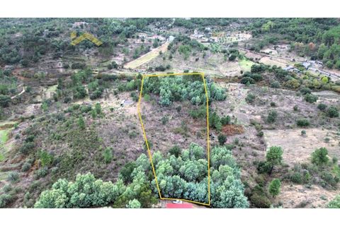 Farm i Castelo Branco, Castelo Branco, Castelo Branco - € 42.000 | Ref: 4968 - foto 15
