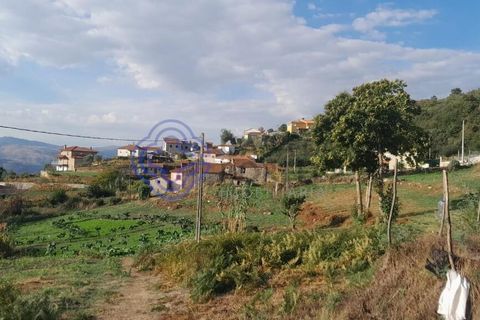 Farm i Baiao, Porto, Baiao - € 590.000 | Ref: 1116241 - foto 9